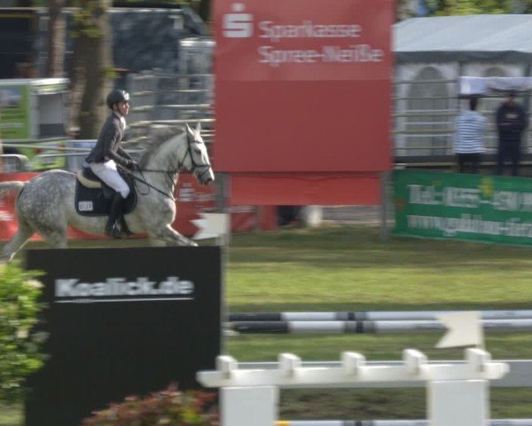 Reitturnier Cottbus-Sielow 2024