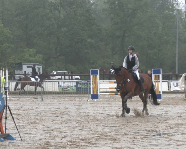 Reitturnier Frechen-Grefrath - Sonnenhof 2024