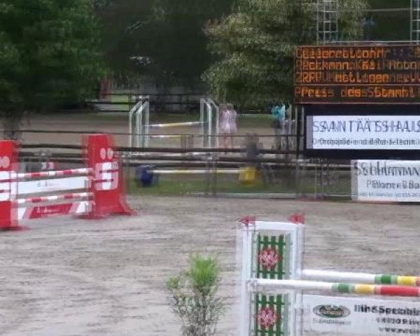 Reit- und Springturnier Münster-Roxel 2012