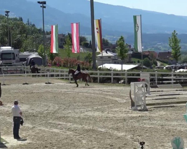 Reitturnier St. Margarethen 2024