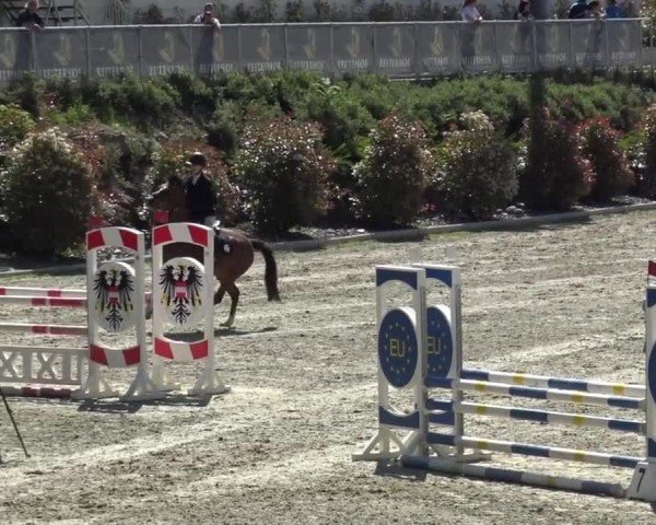 Reitturnier St. Margarethen 2024