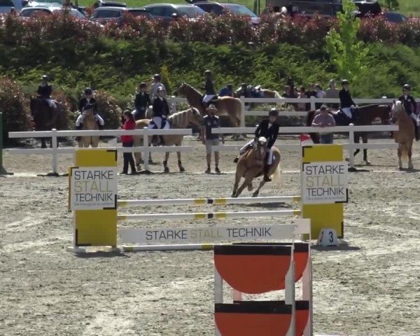 Reitturnier St. Margarethen 2024