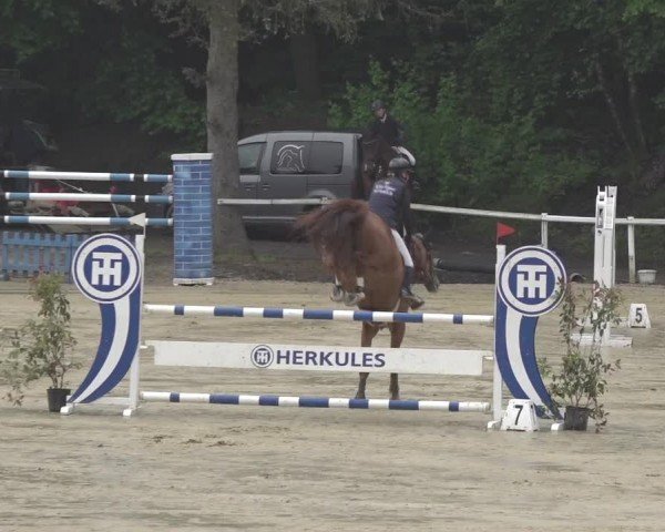 Reitturnier Siegen-Weidenau  2024