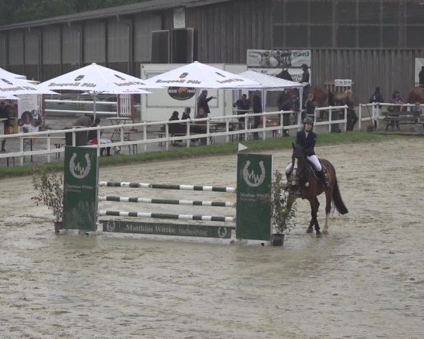 Reitturnier Siegen-Weidenau  2024