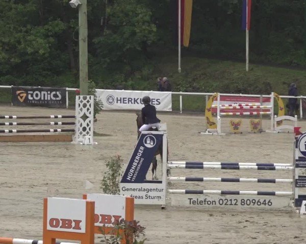 Reitturnier Siegen-Weidenau  2024