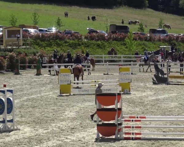 Reitturnier St. Margarethen 2024
