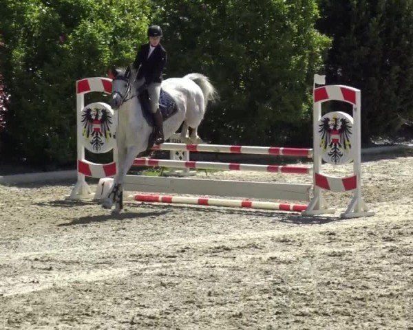 Reitturnier St. Margarethen 2024