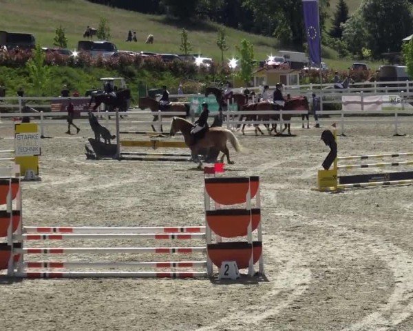 Reitturnier St. Margarethen 2024