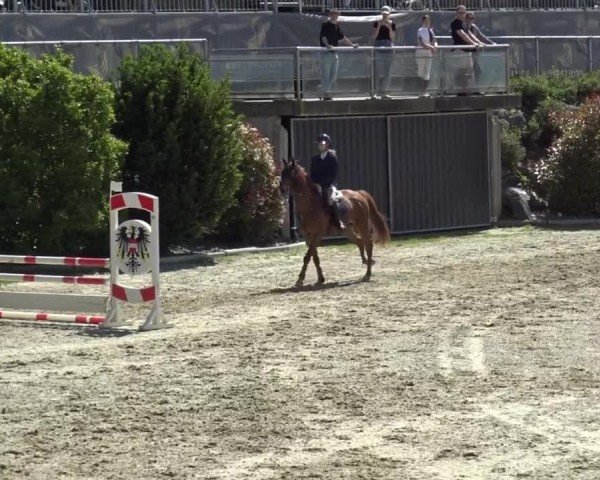 Reitturnier St. Margarethen 2024
