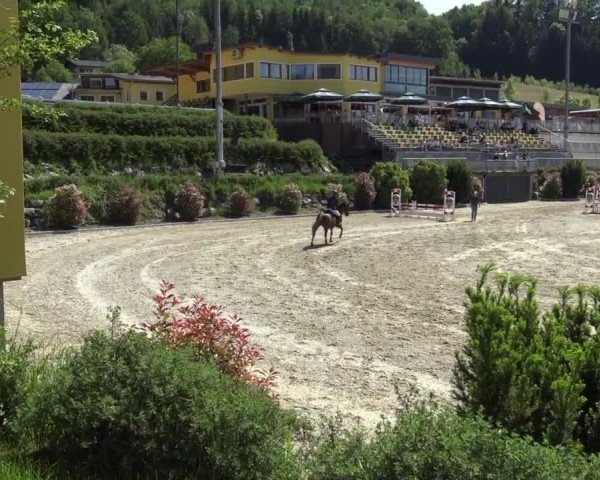 Reitturnier St. Margarethen 2024