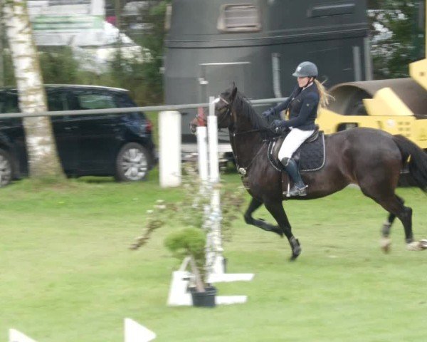 Reitturnier Forst 2024