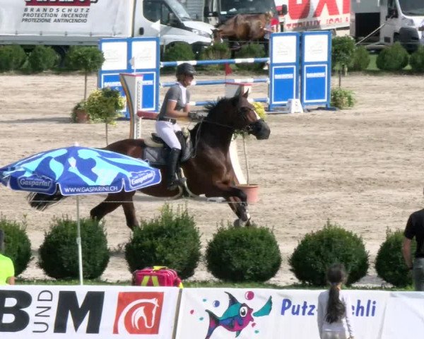 Basler Pferdesporttage Schänzli 2021