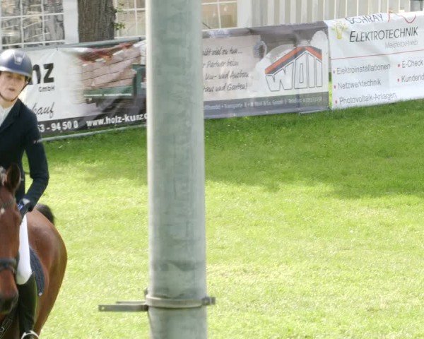 Reitturnier Forst 2024