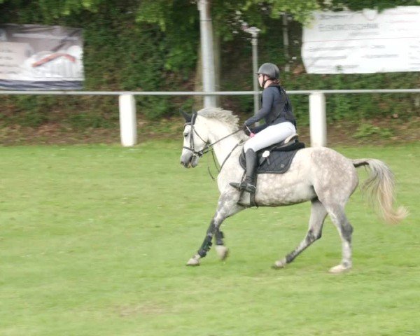 Reitturnier Forst 2024