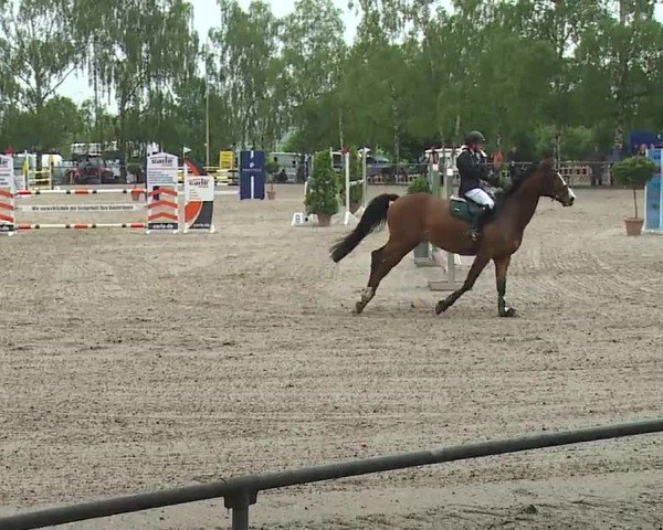 Reitturnier Landenhausen 2024
