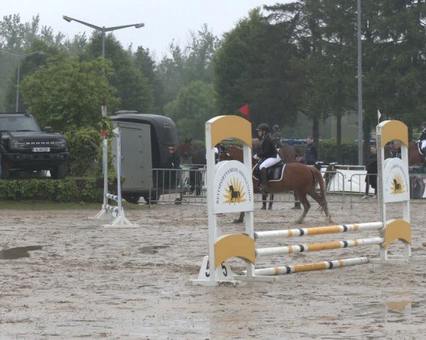 Reitturnier Frechen-Grefrath - Sonnenhof 2024