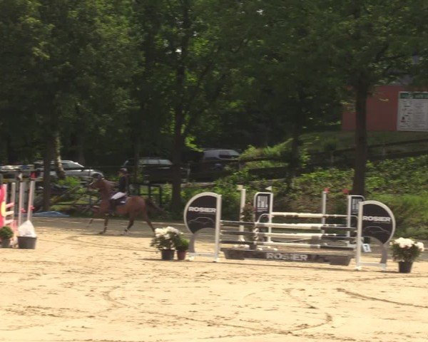 Reitturnier Iserlohn-Kalthof 2024