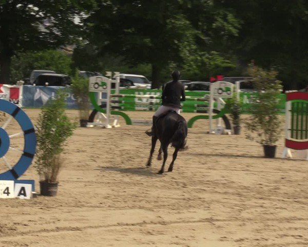 Reitturnier Iserlohn-Kalthof 2024