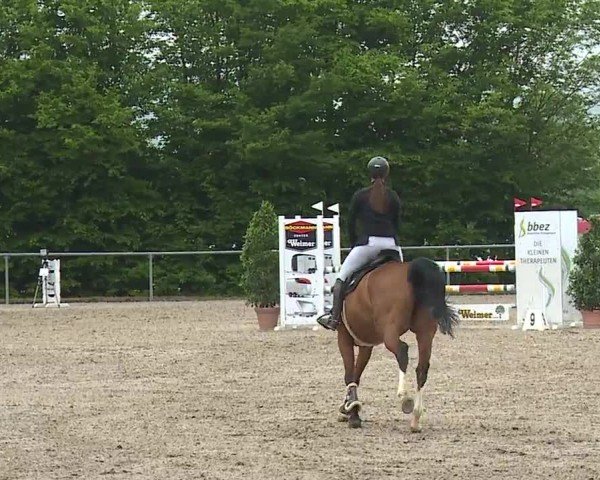 Reitturnier Landenhausen 2024