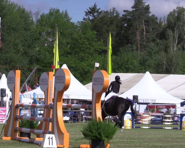 Reitturnier Horka 2024