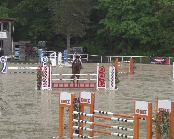 Reitturnier Siegen-Weidenau  2024