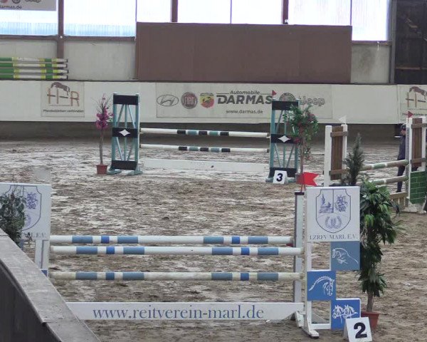 Winter Hallen Reit- und Springturnier, Reithalle Rohmann 2021