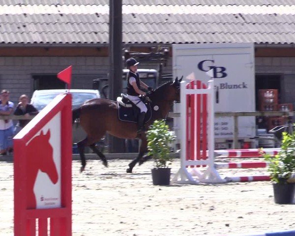 Reitturnier Kropp 2024