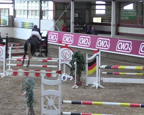 Winter Hallen Reit- und Springturnier, Reithalle Rohmann 2021