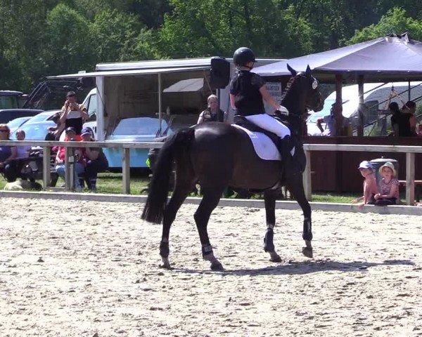 Reitturnier Kropp 2024