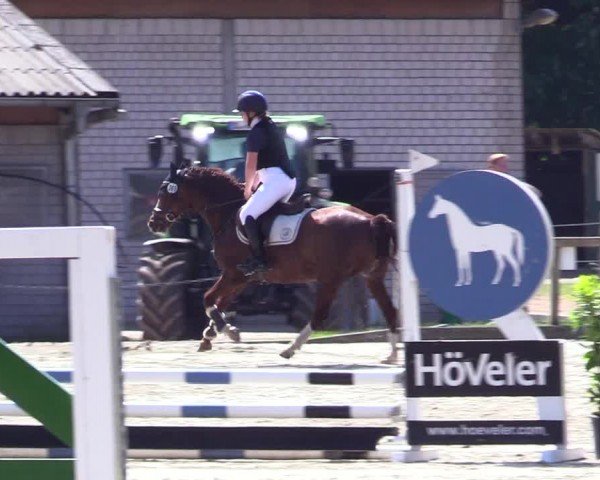 Reitturnier Kropp 2024