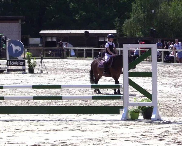 Reitturnier Kropp 2024