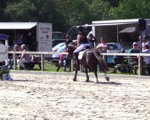 Reitturnier Kropp 2024