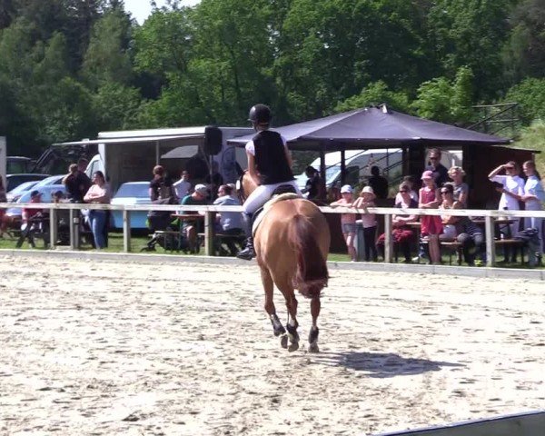 Reitturnier Kropp 2024