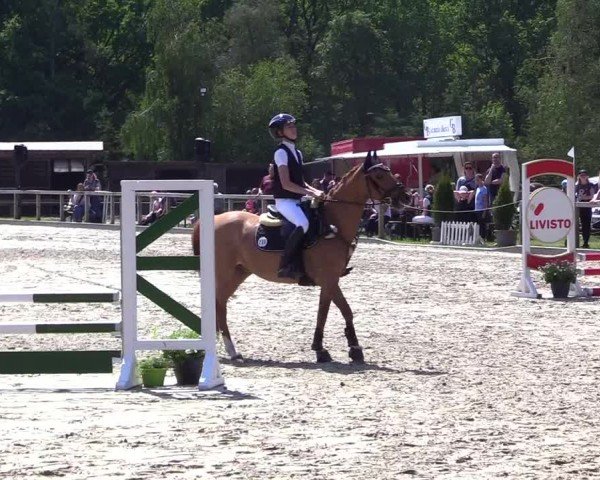 Reitturnier Kropp 2024