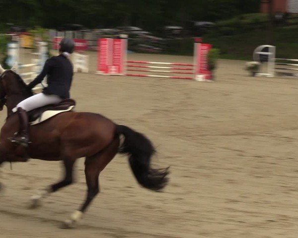 Reitturnier Iserlohn-Kalthof 2024