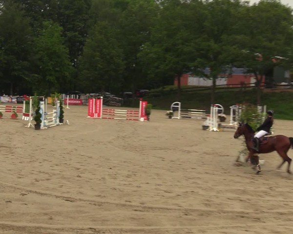 Reitturnier Iserlohn-Kalthof 2024