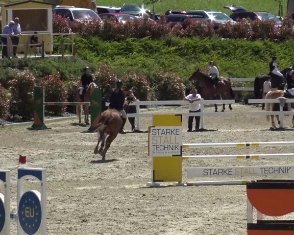 Reitturnier St. Margarethen 2024