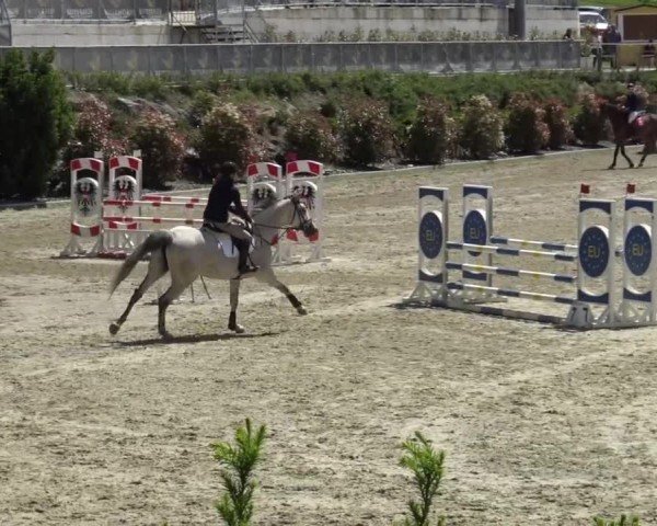 Reitturnier St. Margarethen 2024
