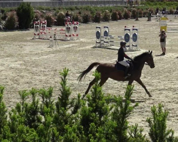Reitturnier St. Margarethen 2024