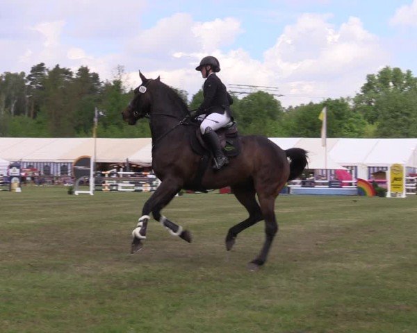 Reitturnier Horka 2024