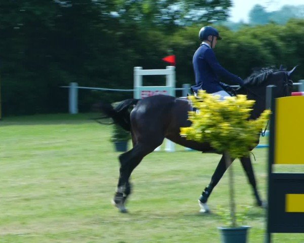 Reitturnier Wustrow 2024