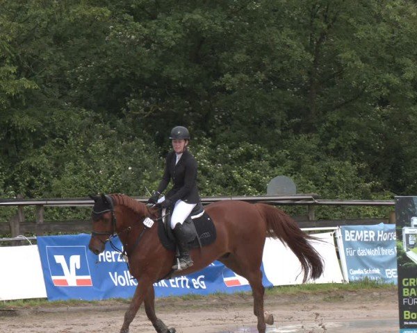Reitturnier Frechen-Grefrath - Sonnenhof 2024