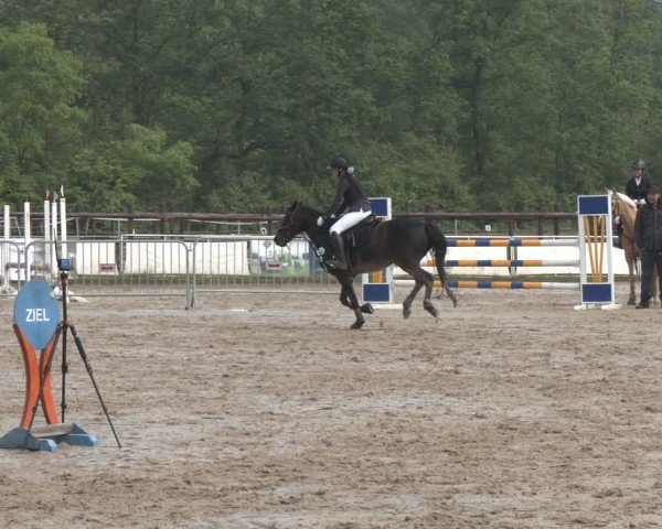Reitturnier Frechen-Grefrath - Sonnenhof 2024