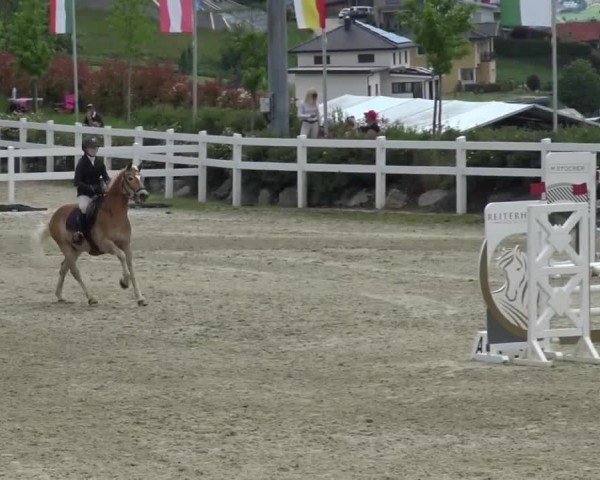 Reitturnier St. Margarethen 2024