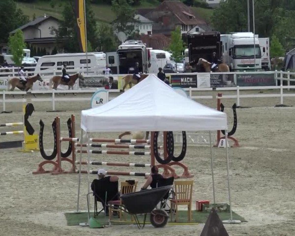 Reitturnier St. Margarethen 2024