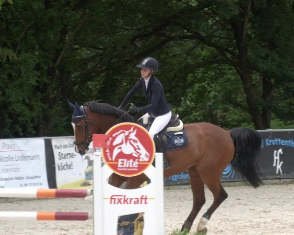 Reitturnier Karlsfeld/Obb. 2024
