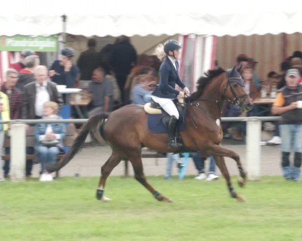 Reitturnier Forst 2024
