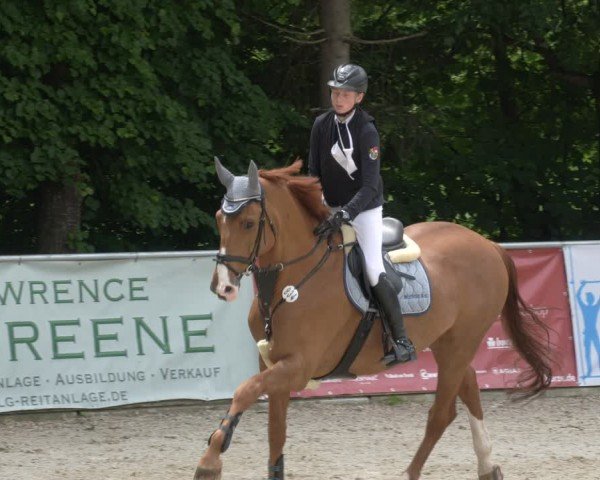 Reitturnier Karlsfeld/Obb. 2024