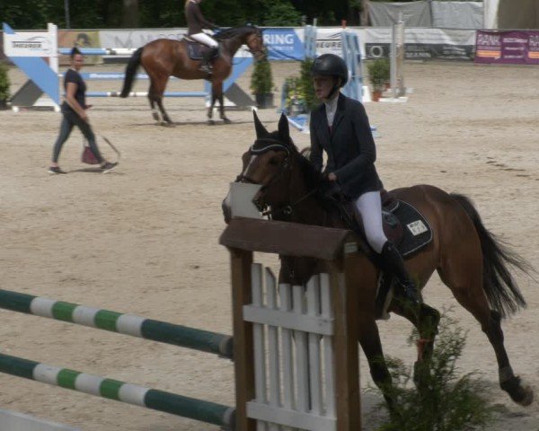 Reitturnier Karlsfeld/Obb. 2024