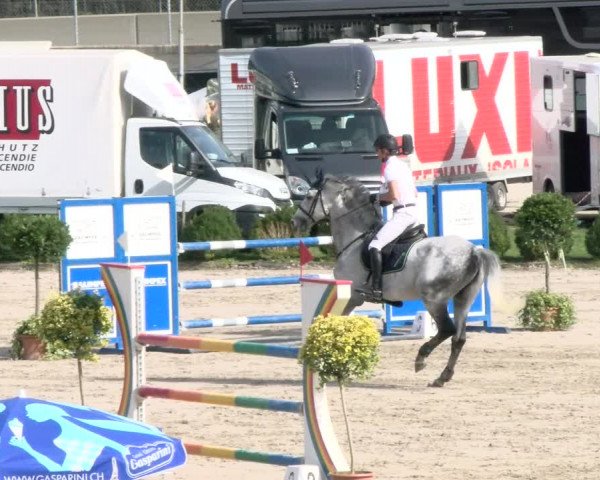 Basler Pferdesporttage Schänzli 2021